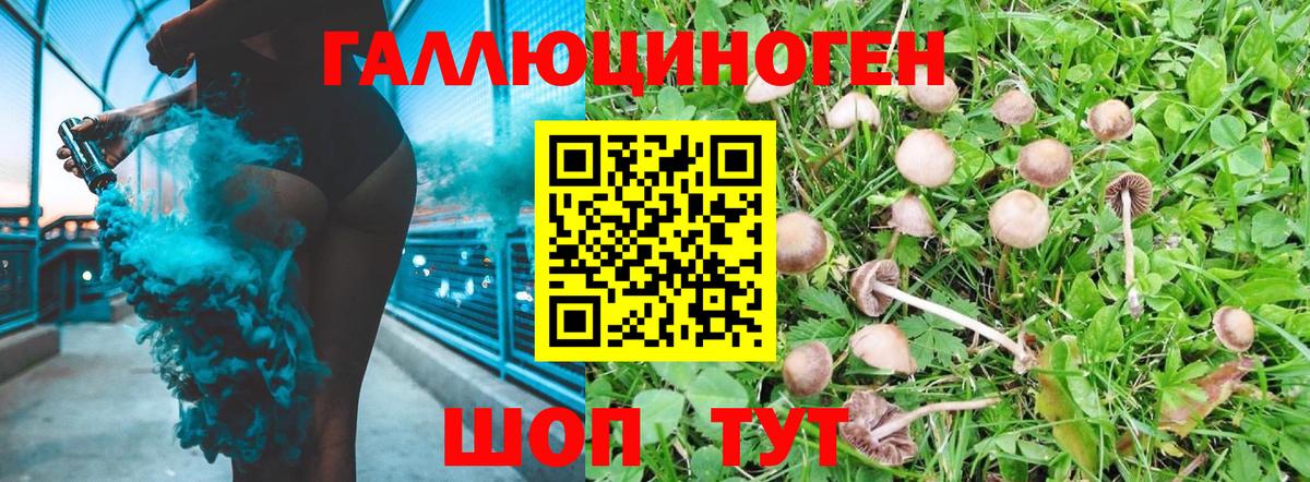 Псилоцибиновые грибы Magic Shrooms  купить   Великий Устюг  Вход с VPN 